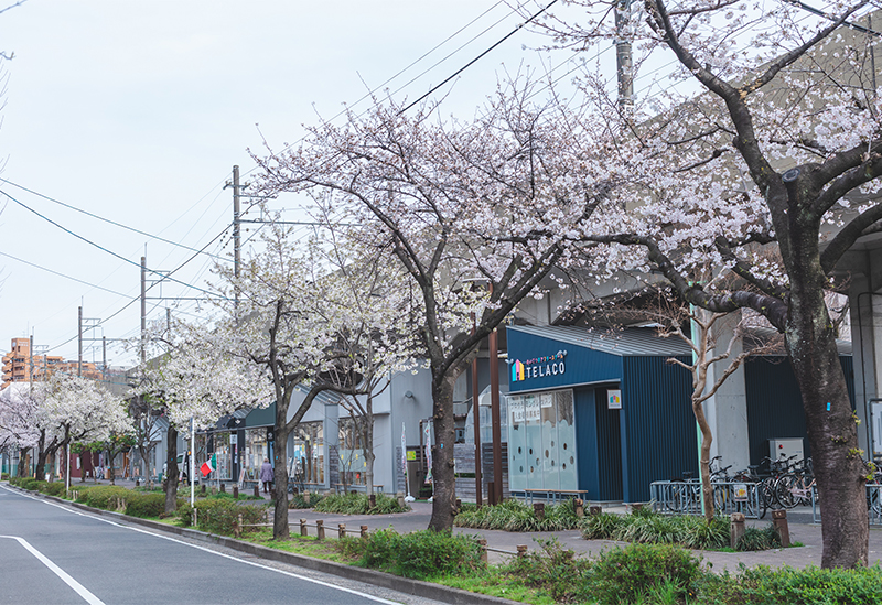 SAKUMACHI商店街