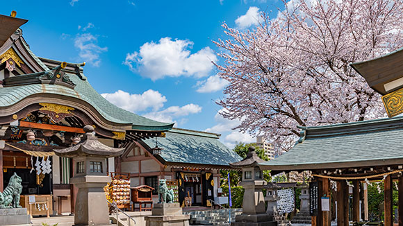 春の画像1