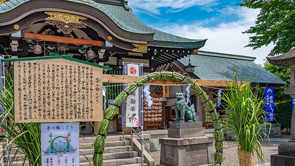 夏の画像1
