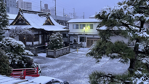 冬の画像1