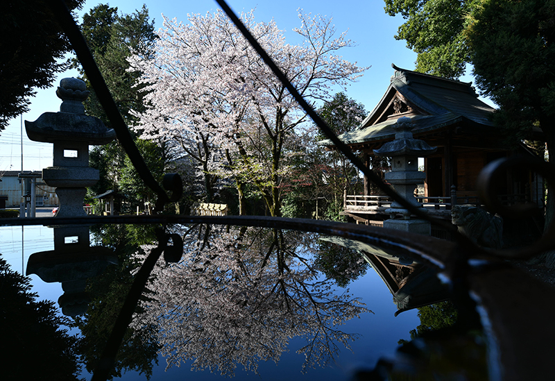 平柳星宮神社