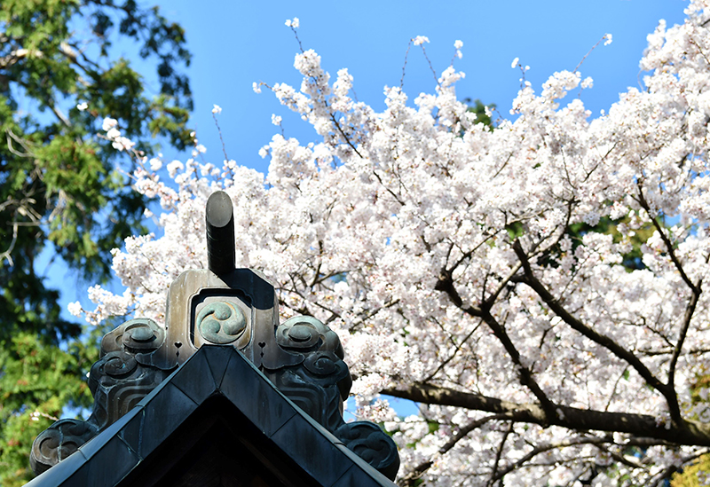 平柳星宮神社