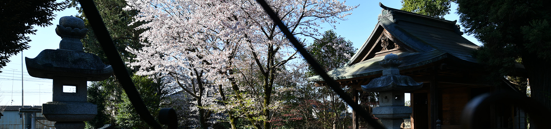 平柳星宮神社