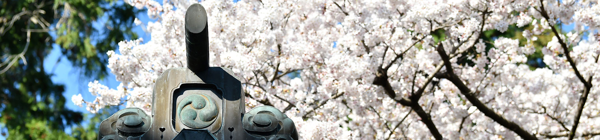 平柳星宮神社