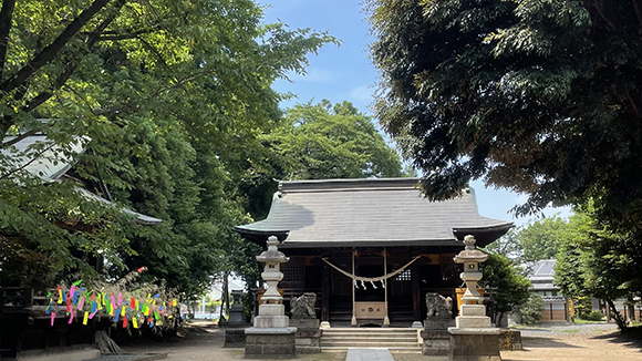 夏の画像1