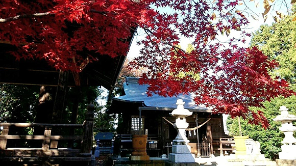 秋の画像1