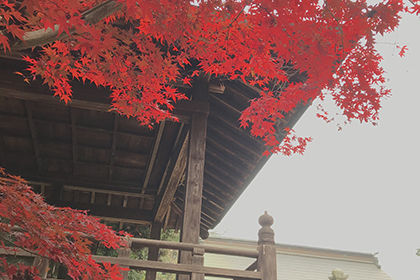秋の画像2
