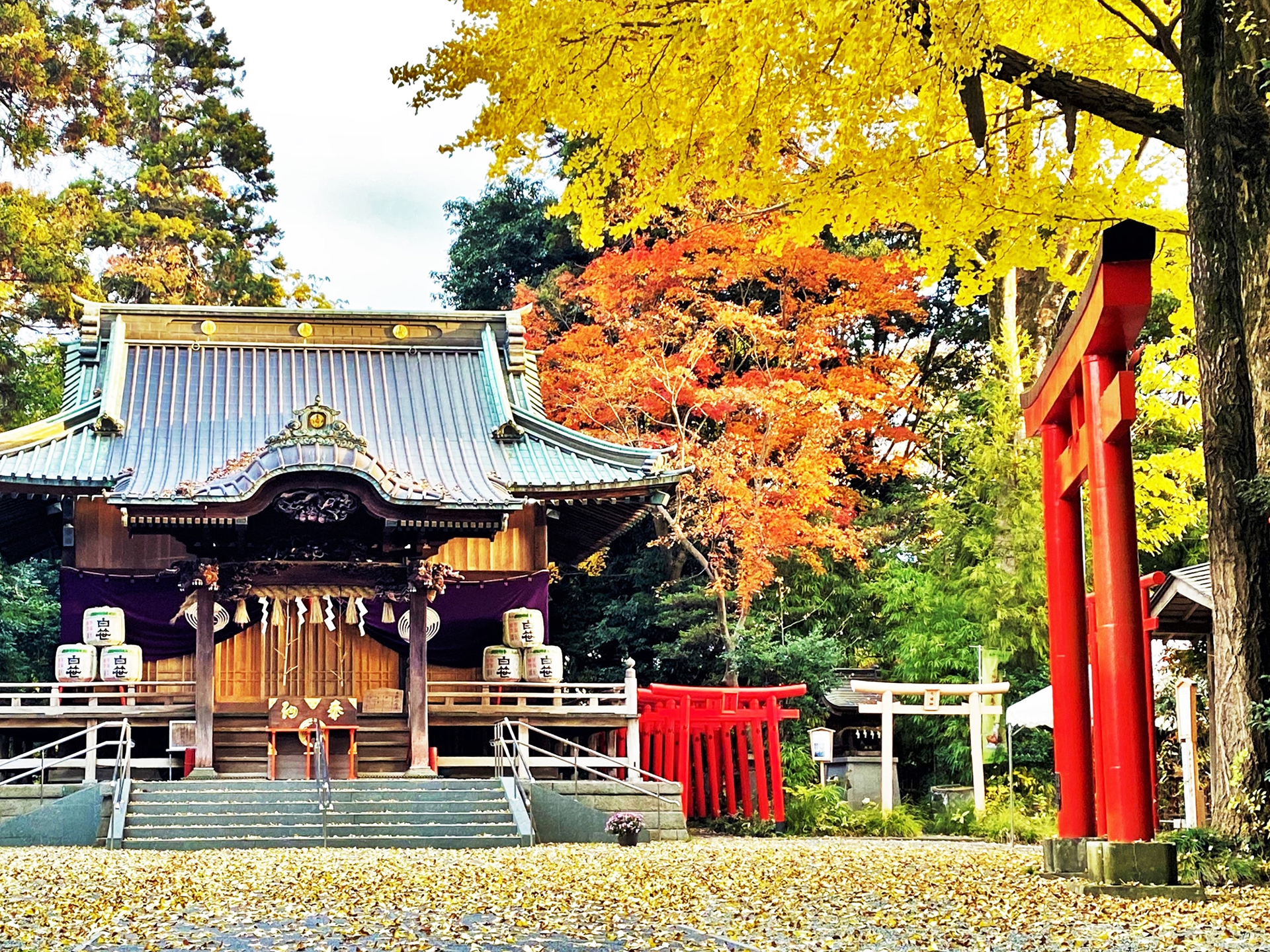 白笹稲荷神社