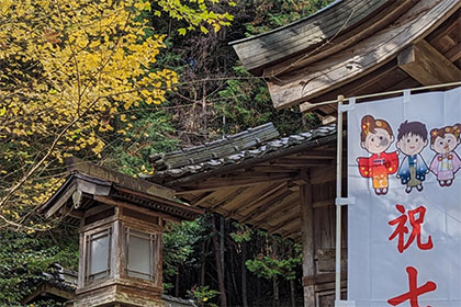 秋の画像2