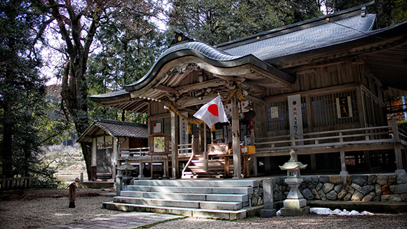 春の画像1