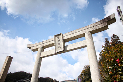 春の画像2