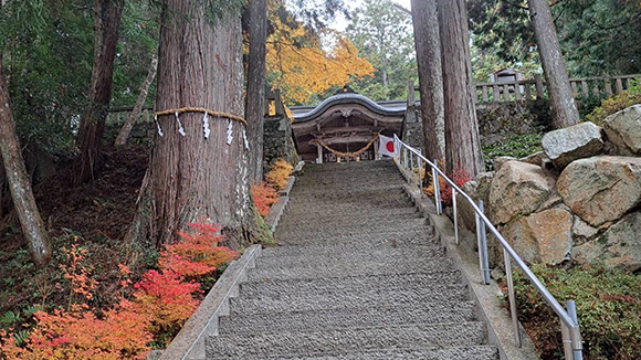 秋の画像1