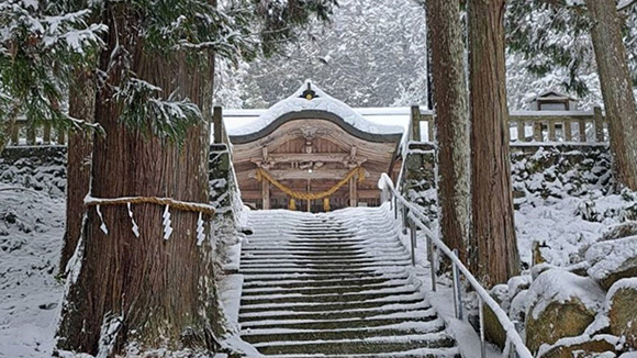 冬の画像1