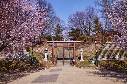 春の画像2