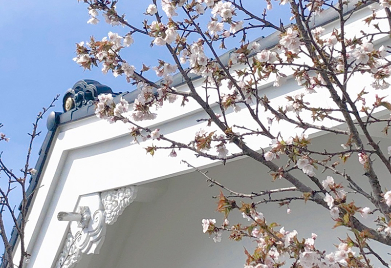 鳥取神社