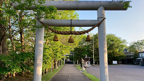 夏の画像1