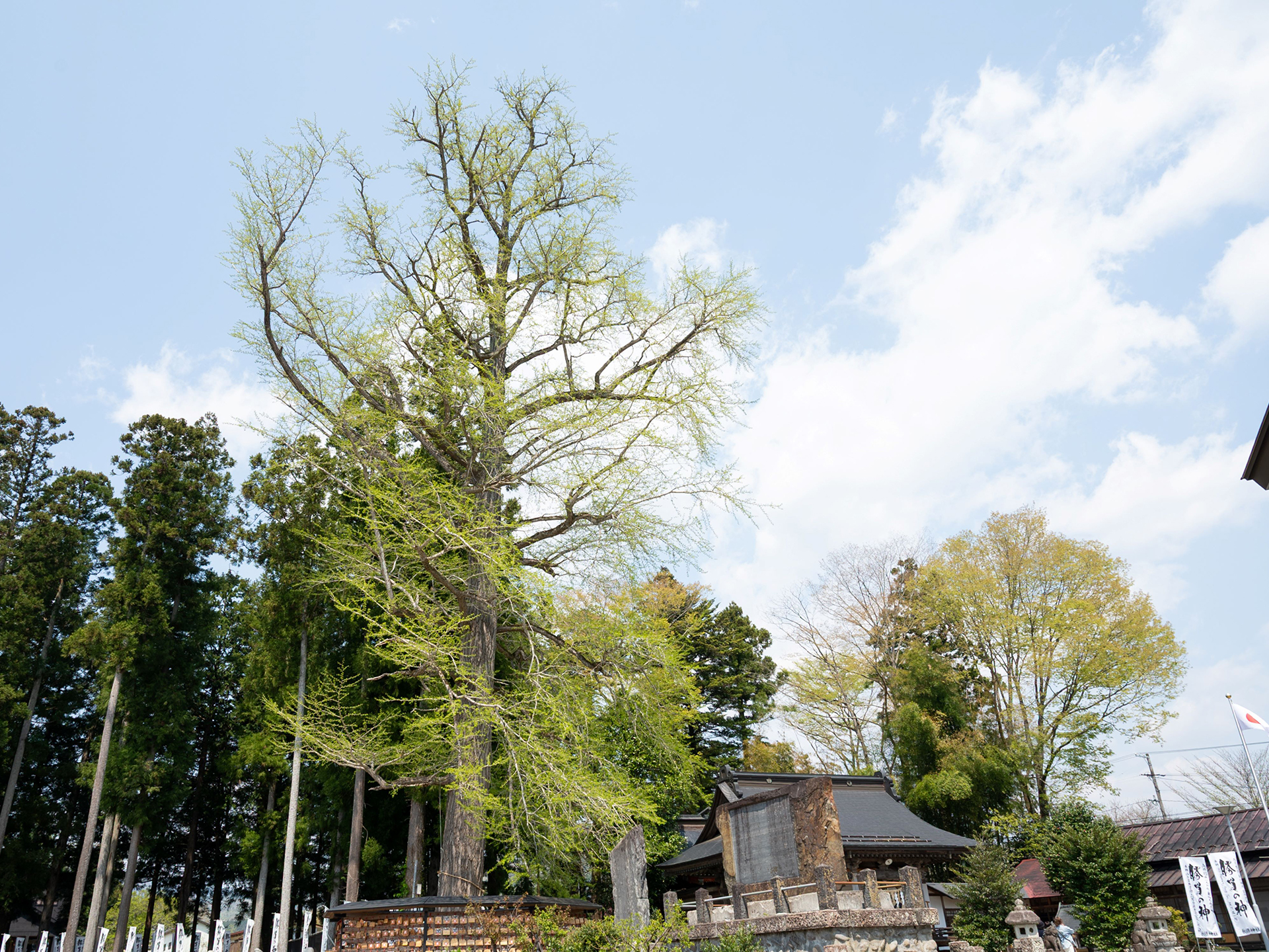 秋保神社