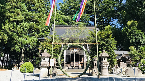 夏の画像1