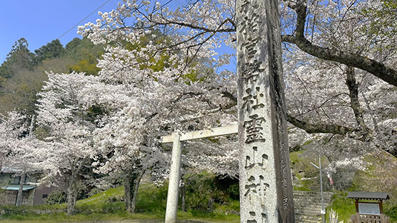 春の画像1