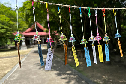 夏の画像2