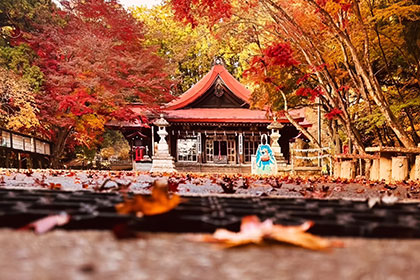 秋の画像2