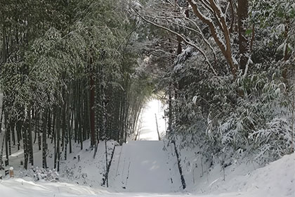 冬の画像2