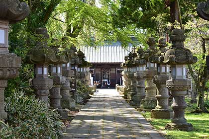 夏の画像2
