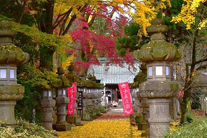 秋の画像2