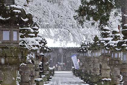 冬の画像2