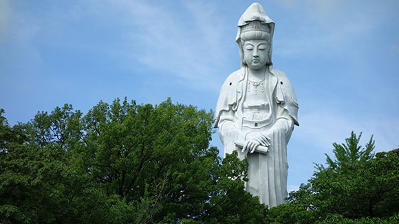 夏の画像1