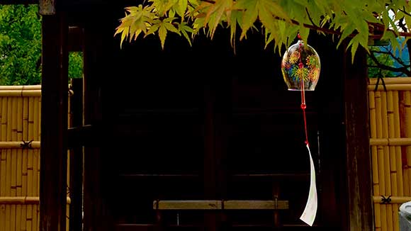 夏の画像1