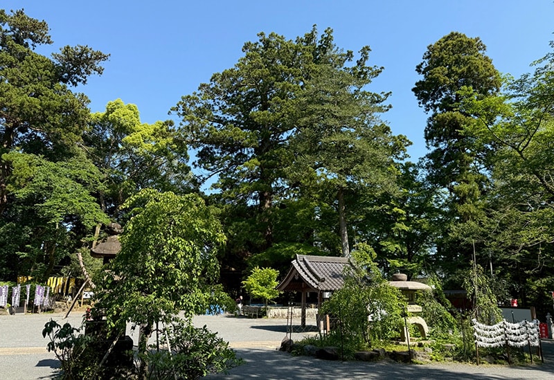 日向薬師　宝城坊