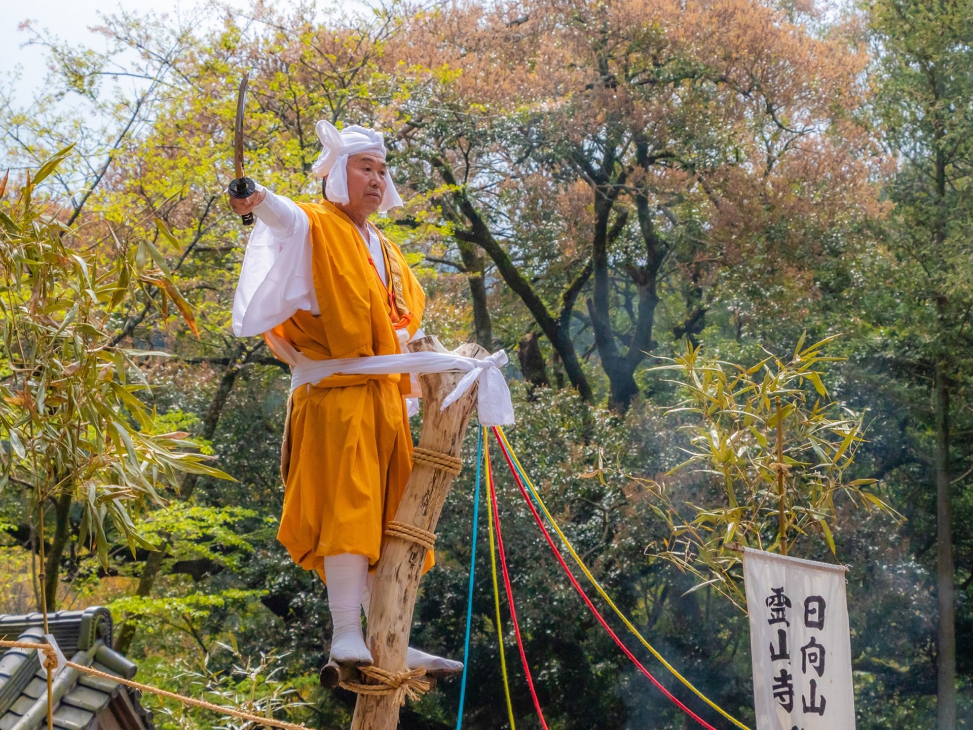 日向薬師　宝城坊