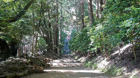 夏の画像1