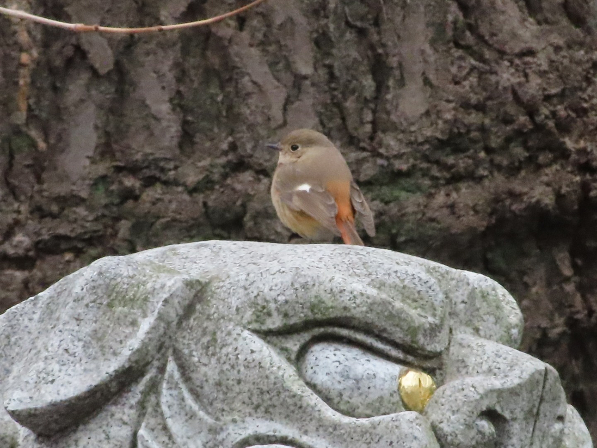 瀧野川八幡神社