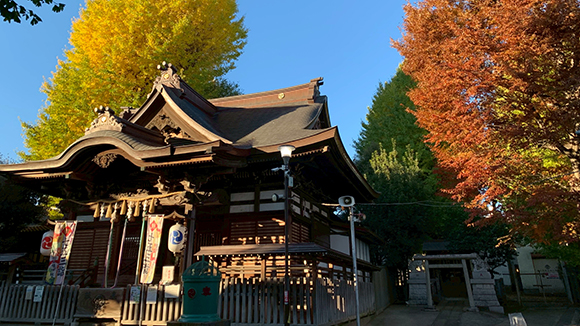 秋の画像1