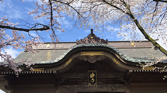 春の画像1