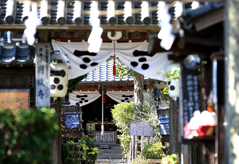 金毘羅社 円政寺