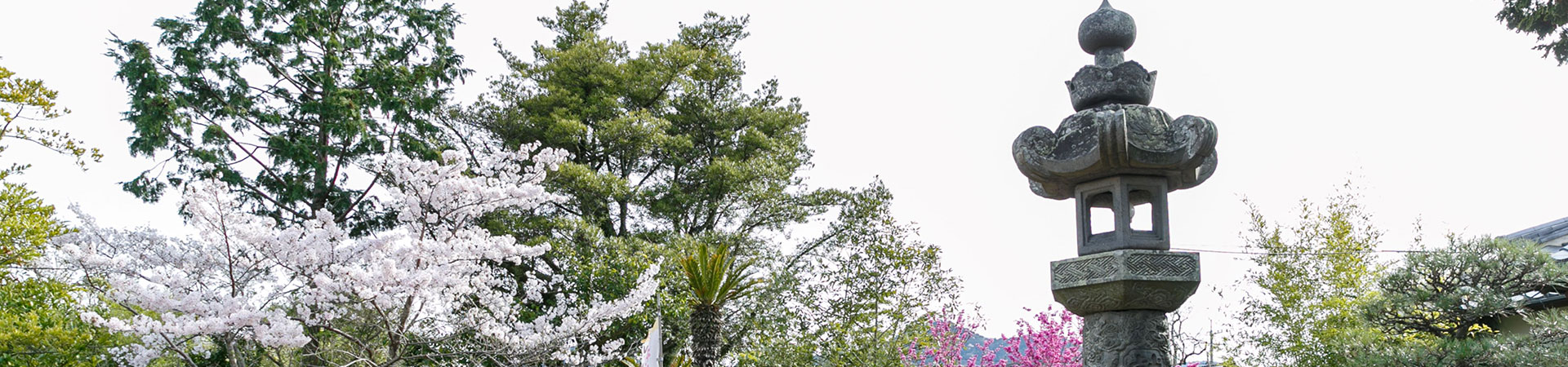 金毘羅社 円政寺