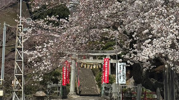春の画像1
