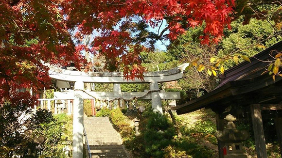 秋の画像1