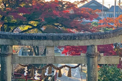秋の画像2