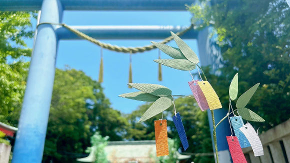 夏の画像1