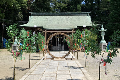 夏の画像2