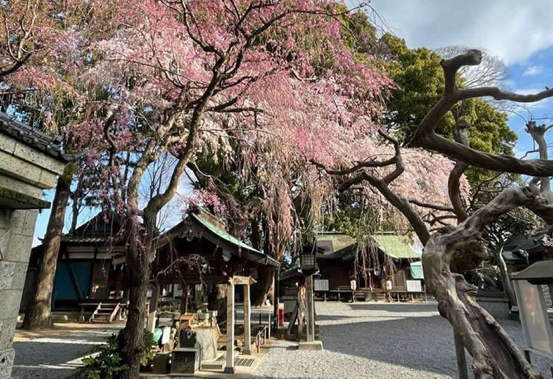 三島八幡神社