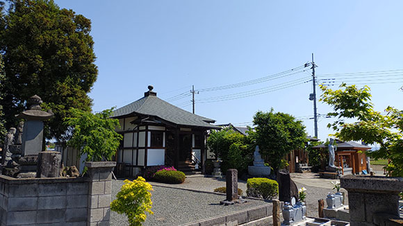 夏の画像1