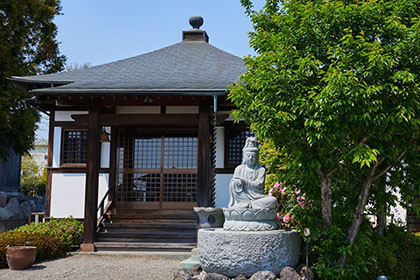 夏の画像2