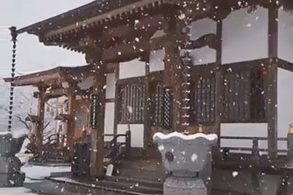 冬の画像2