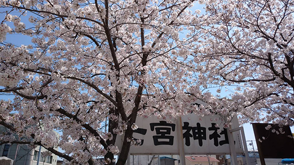 春の画像1