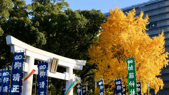 秋の画像1